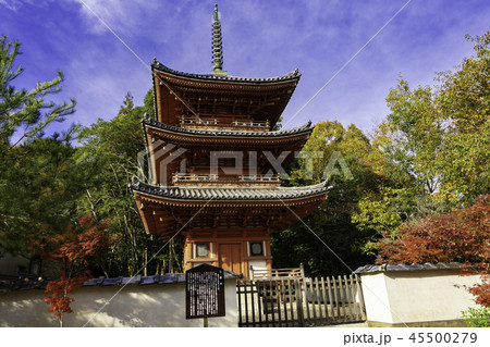 紅葉の井山宝福寺 45500279