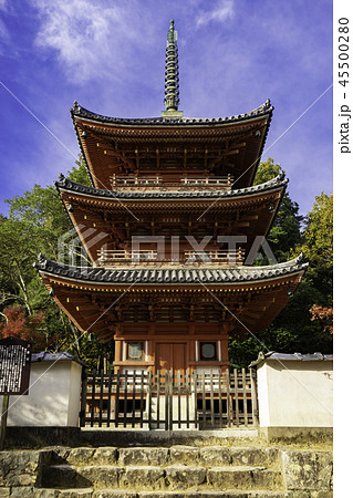 紅葉の井山宝福寺 紅葉の井山宝福寺 45500280