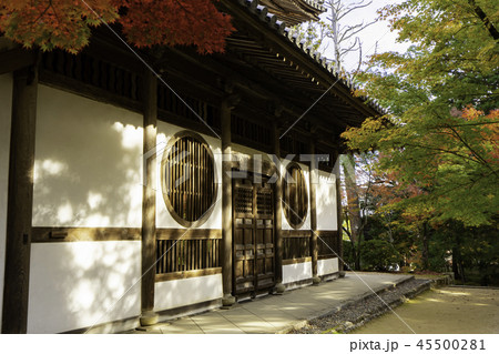 紅葉の井山宝福寺 紅葉の井山宝福寺 45500281