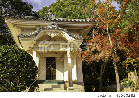 紅葉の井山宝福寺 紅葉の井山宝福寺 45500282