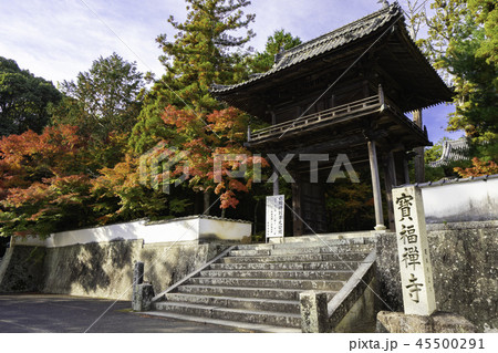 紅葉の井山宝福寺 紅葉の井山宝福寺 45500291