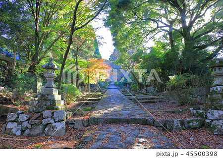朝日が差し込む、英彦山神宮への参道（秋に撮影） 45500398