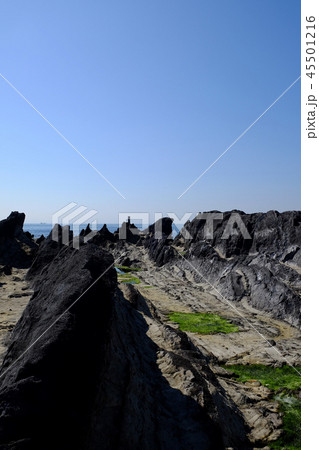 海岸の風景・荒崎 海岸の風景・荒崎 45501216