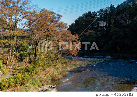 秋の御岳渓谷　東京　奥多摩 45501382