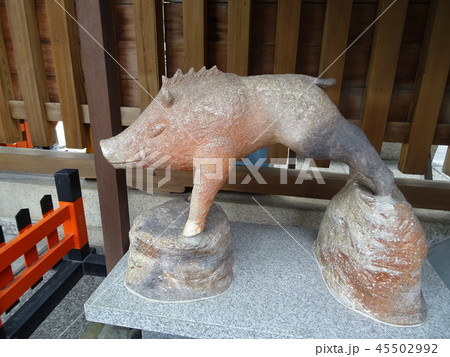 護王神社のイノシシの像　京都 45502992