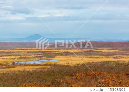 晩秋の釧路湿原　細岡展望台 45503301