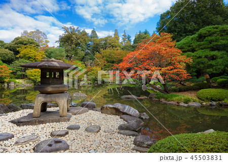 旧古河庭園の櫨の木の紅葉と石灯ろう 旧古河庭園の櫨の木の紅葉と石灯ろう 45503831