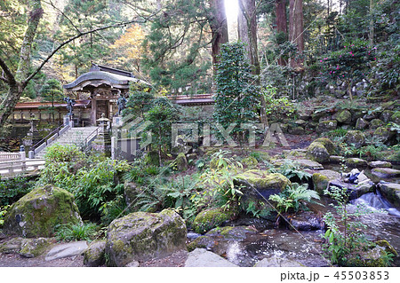 大雄山最乗寺 45503853