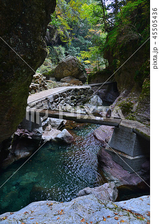 高知県中津渓谷10 45505436