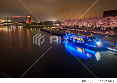 富山・環水公園の夜桜と観光船 45505863