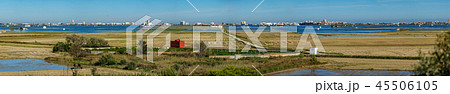 Huge albufera panorama with flooded rice fields 45506105