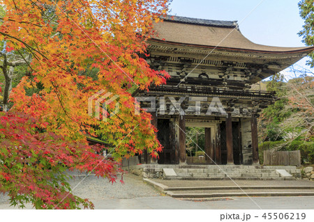 三井寺　紅葉 45506219