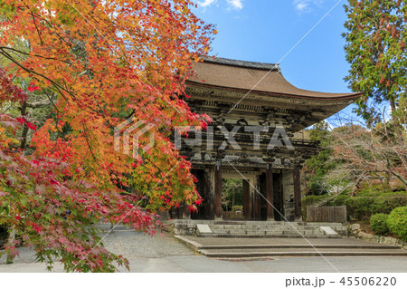 三井寺 紅葉 三井寺 紅葉 45506220
