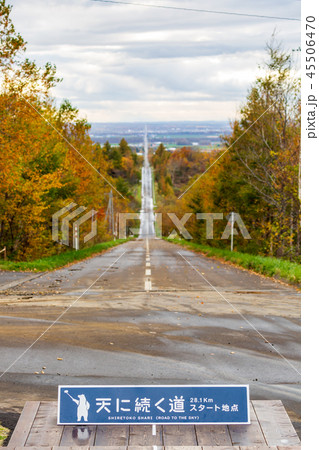 晩秋の天に続く道 晩秋の天に続く道 45506470