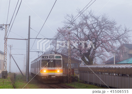 朝霧の桜と富山地鉄 朝霧の桜と富山地鉄 45506555