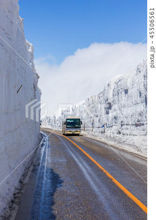 富山・雪の大谷（アルペンルート） 45506561