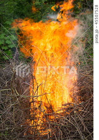Bright big bonfire while burning a large number of 45507528