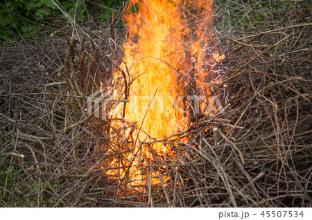 Bright big bonfire while burning a large number of 45507534