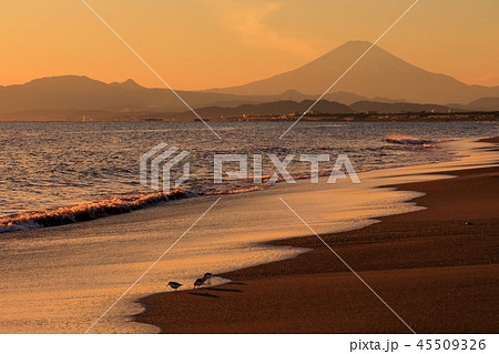 神奈川_湘南の夕景富士 45509326