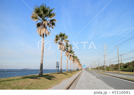 袖ケ浦海浜公園に続く道路 45510091