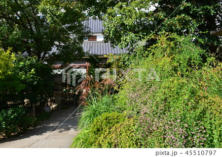 灘五郷酒蔵通り 灘五郷酒蔵通り 45510797