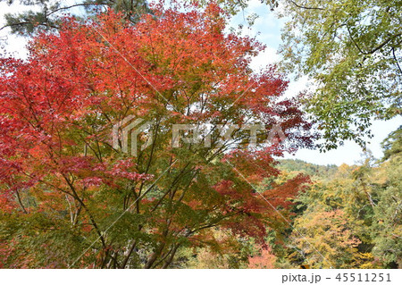 昇仙峡　紅葉 45511251