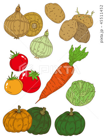 野菜のイラスト素材のイラスト素材