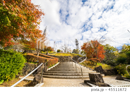 紅葉　眉山公園(徳島県徳島市) 45511672