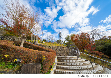 紅葉 眉山公園(徳島県徳島市) 紅葉 眉山公園(徳島県徳島市) 45511681