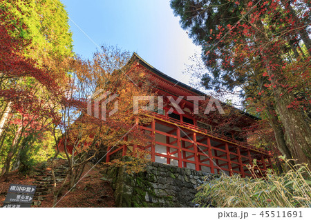 比叡山延暦寺横川地域 比叡山延暦寺横川地域 45511691
