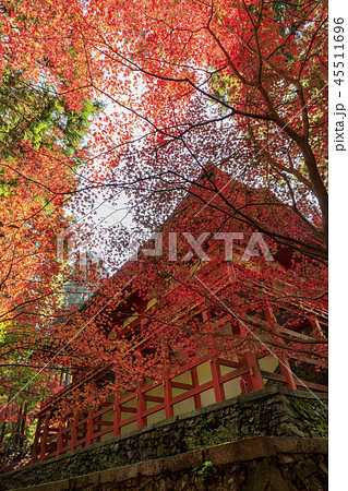 比叡山延暦寺横川地域 45511696