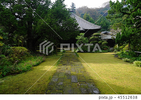 11月　鎌倉626寿福寺･仏殿とﾋﾞｬｸｼﾝ 45512638