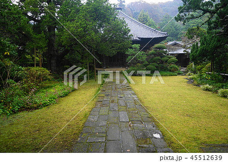 11月　鎌倉625寿福寺･仏殿とﾋﾞｬｸｼﾝ 45512639