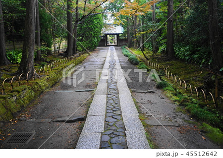 11月 鎌倉622寿福寺・敷石道と外門 11月 鎌倉622寿福寺・敷石道と外門 45512642