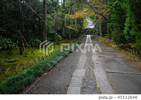 11月 鎌倉618寿福寺・敷石道と山門 11月 鎌倉618寿福寺・敷石道と山門 45512646