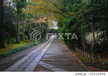 11月　鎌倉615寿福寺･敷石道と山門 45512649
