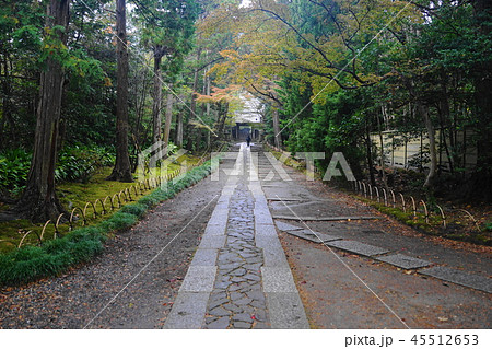 11月　鎌倉612寿福寺･敷石道と山門 45512653