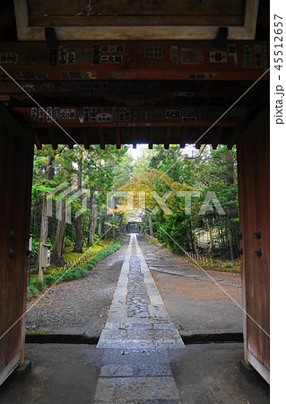 11月 鎌倉608寿福寺・外門 11月 鎌倉608寿福寺・外門 45512657