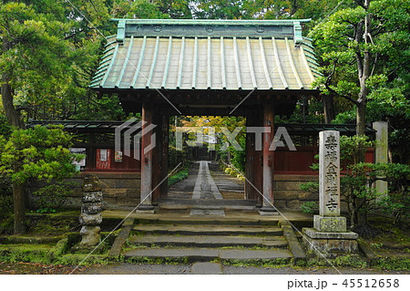 11月　鎌倉606寿福寺･外門 45512658