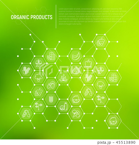 Organic products concept in honeycombs Organic products concept in honeycombs 45513890