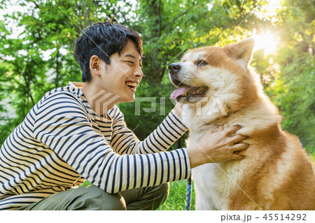 秋田犬　男性 45514292