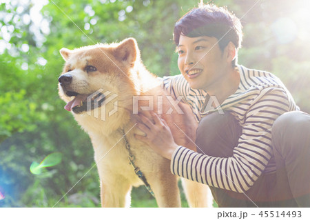 秋田犬　男性 45514493