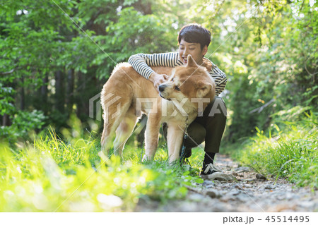 秋田犬　男性 45514495