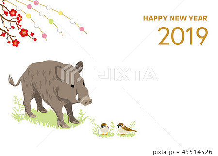 19年 亥年 年賀状 イノシシとスズメ 玉飾り 英語賀詞のイラスト素材