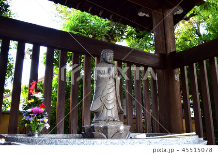 東京都杉並区和田 立法寺の手水舎 東京都杉並区和田 立法寺の手水舎 45515078