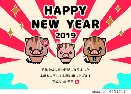 2019年賀状　亥 45516114