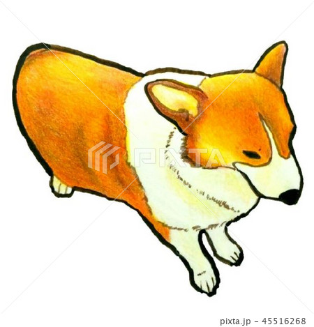 しょんぼりコーギーのイラスト素材 しょんぼりコーギーのイラスト素材