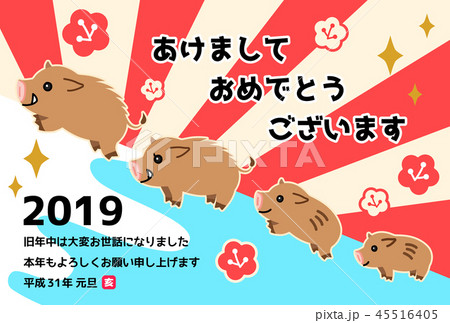 2019年賀状　亥 45516405