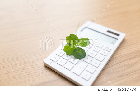 よつば クローバー よつば クローバー 45517774