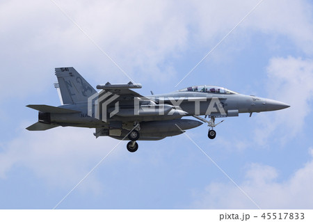 EA-18Gグラウラー 着陸 45517833